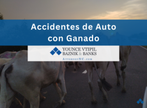 accidentes de auto con ganado